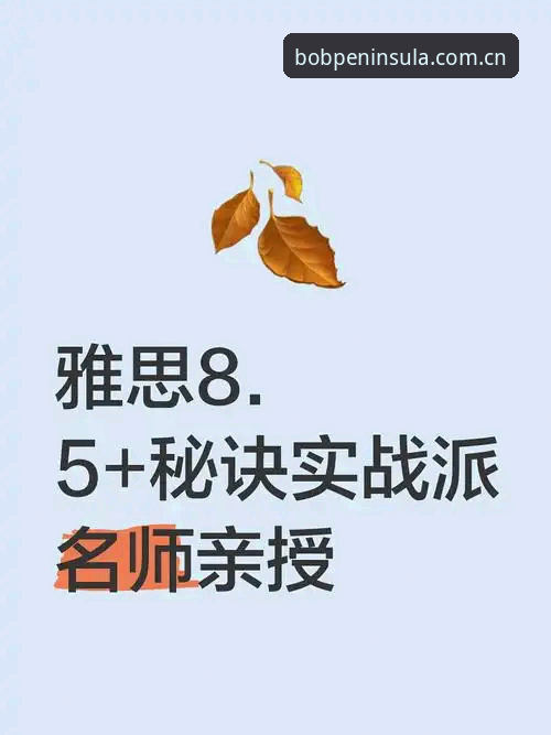 bob半岛平台下载评测 bob半岛平台下载评测深度分析:从实战角度解析正版入口与使用体验